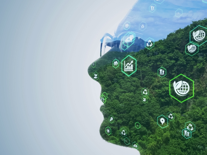 Reporting and Governance