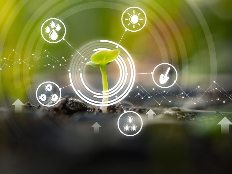 Sustainability & Circular Economy