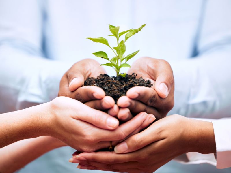 Producer-Focused Support